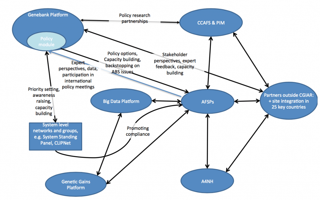 Primary linkages with the Policy Module within the CGIAR portfolio